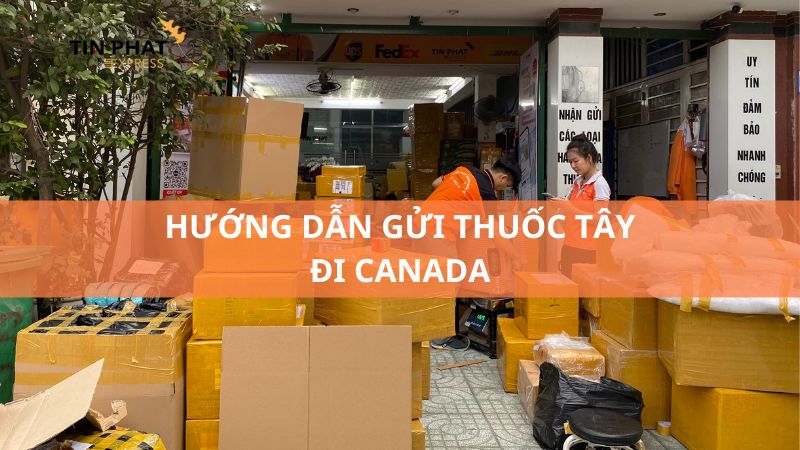 Hướng dẫn cách gửi thuốc tây đi Canada từ Việt Nam