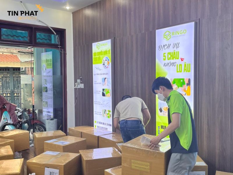 Công ty vận chuyển hàng quốc tế RINGO EXPRESS & LOGISTICS