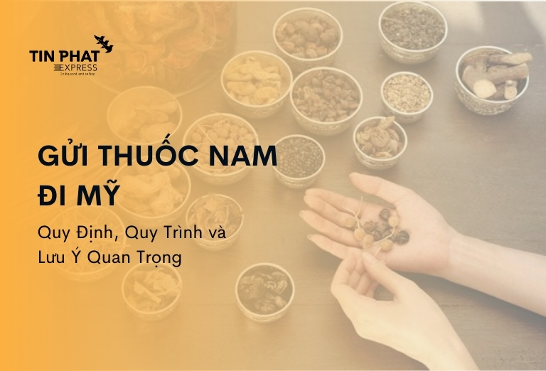 gui-thuoc-nam-di-my