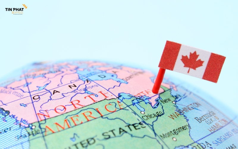 Cộng đồng người Việt tại Canada đã hình thành từ những năm 1970 và phát triển vững mạnh qua nhiều thế hệ.