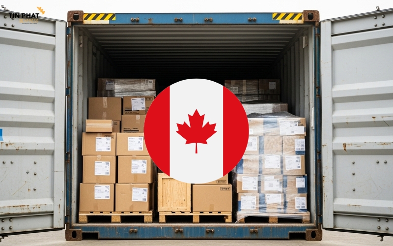 Nhu cầu gửi hàng từ Việt Nam đi Canada tăng dần qua các năm.