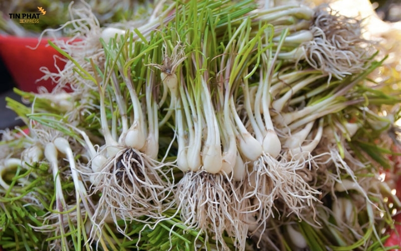 Củ hành tươi còn nguyên rễ, còn bám đất hoặc chưa được ngâm chua hoàn toàn thuộc danh mục bị cấm.