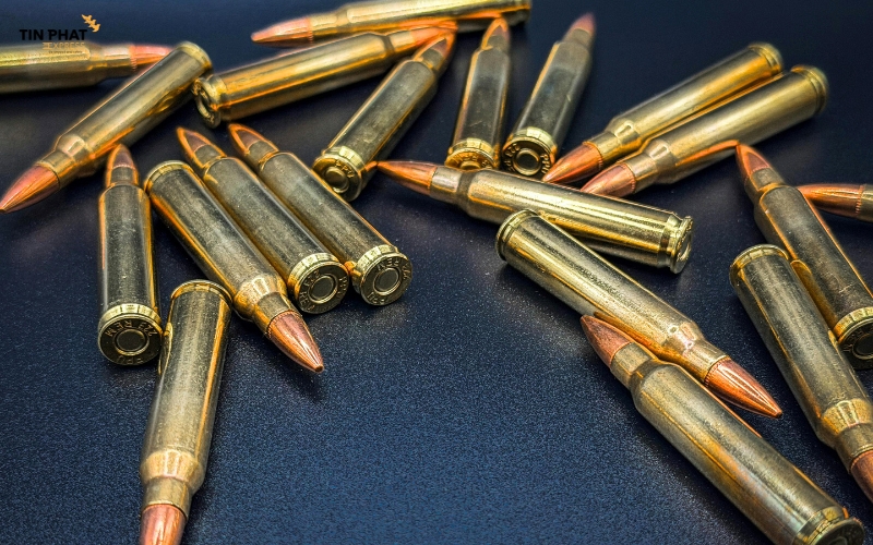 Vũ khí, đạn dược cấm vận chuyển nội địa và cả quốc tế.